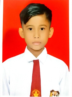 MUHAMMAD ALIYUDDIN