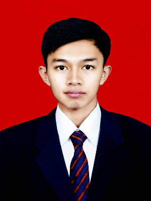 AMIR HAKIM