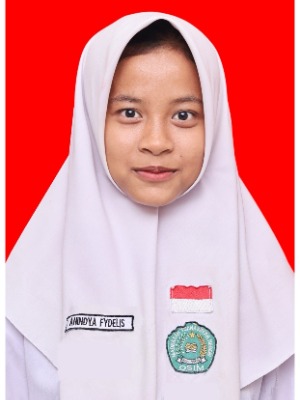 ANINDYA FYDELIS