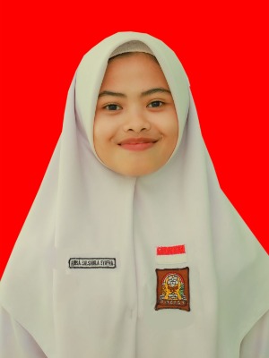 ANISA SALSABILA SYAFHA