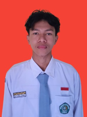 MUHAMMAD SYAWAL ALFARISSI