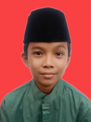 HAMDAN LUTHFIL HADI